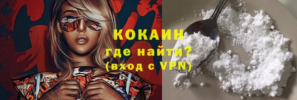 мдпв Верея