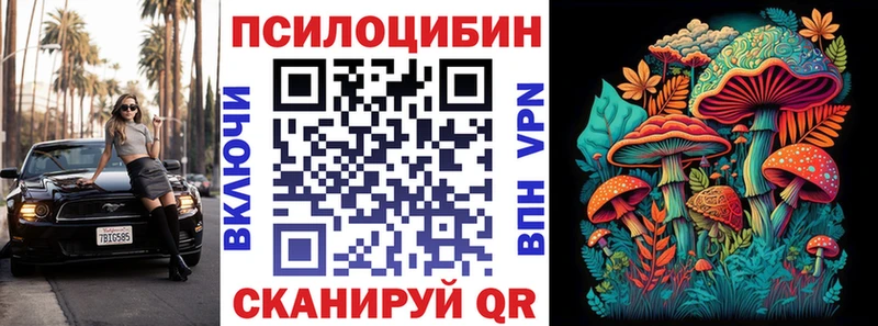 omg зеркало  Заинск  Псилоцибиновые грибы прущие грибы  как найти закладки 