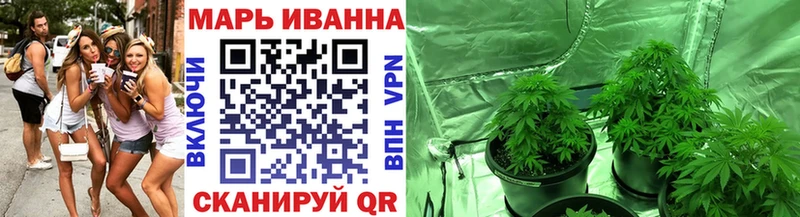 Конопля индика продажа наркотиков Заинск
